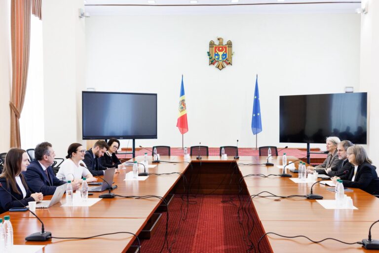 Cristina Gherasimov: R. Moldova, apreciată de Eurostat pentru progresele în domeniul statisticii