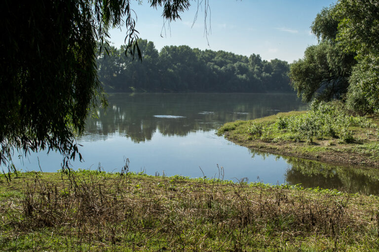 Pete de ulei, observate pe râul Bâc