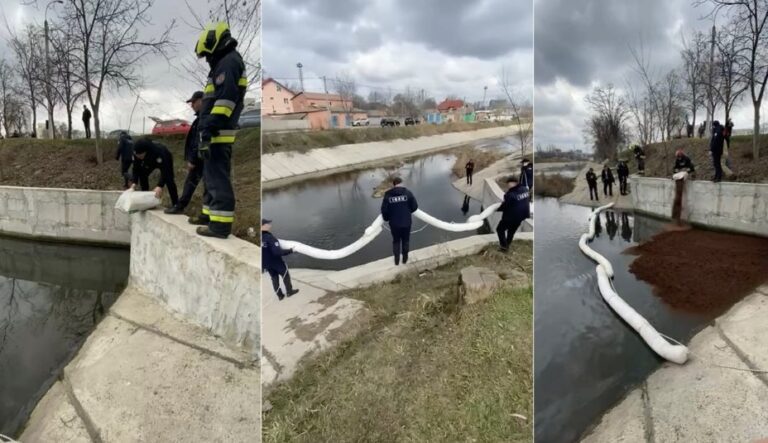 (VIDEO) Mai multe baraje absorbante au fost instalate pe râul Bâc