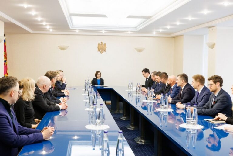 Maia Sandu și parlamentari din mai multe state europene, discuții privind securitatea regională