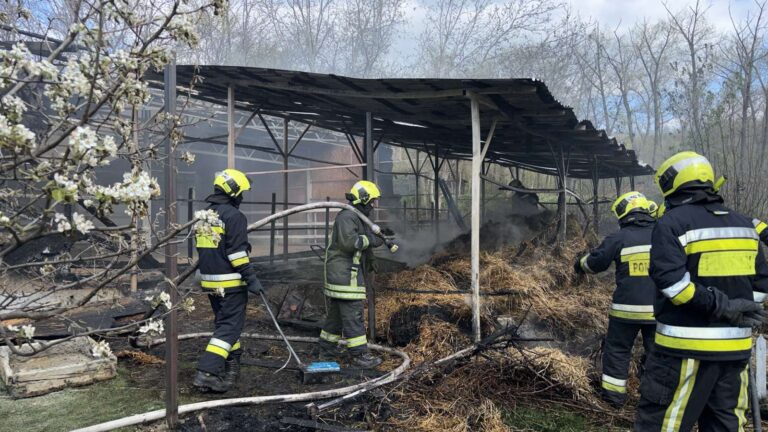 (FOTO) Incendiu la un hipodrom din Chișinău