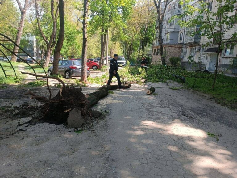 Tragedie și sute de intervenții după furtuna violentă de ieri