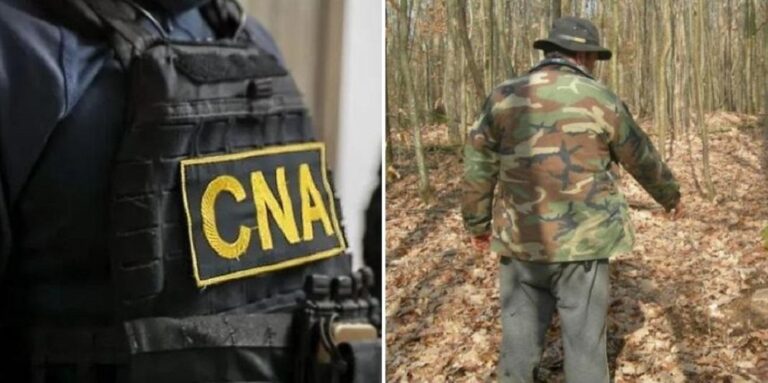 Percheziții CNA: Mii de euro, solicitați pentru un post de pădurar