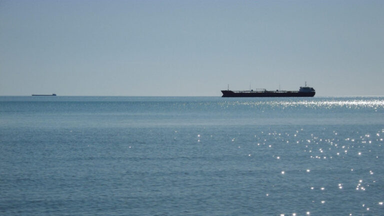 SUA au capturat o navă iraniană în Golful Oman