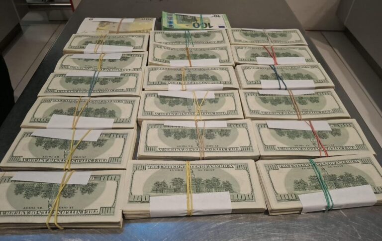 (VIDEO) Operațiunea „NELSON-2026”: Bani și bunuri în valoare de 10 milioane de lei, scoase din circuitul ilegal 