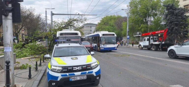 O creangă a căzut peste un troleibuz pe bulevardul Ștefan cel Mare din Chișinău: Transportul public, redirecționat