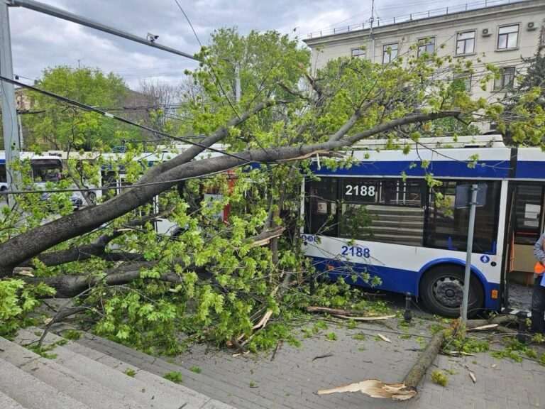 (FOTO) Vântul puternic a făcut ravagii: copaci doborâți peste automobile și fire rupte