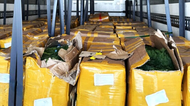 (FOTO) Tone de mărar și pătrunjel, distruse de ANSA. Ce s-a întâmplat cu alte loturi de produse alimentare