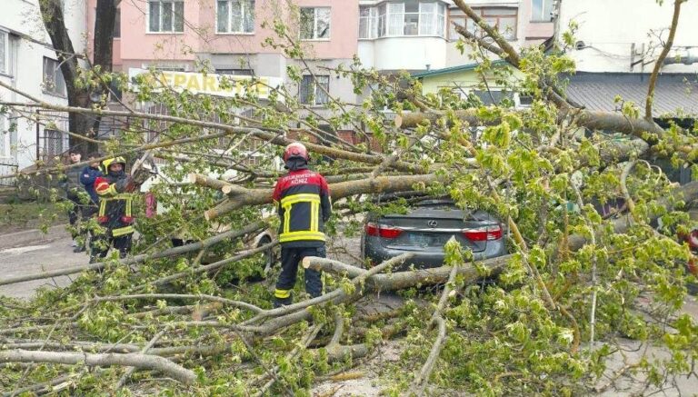 Copaci căzuți și mașini blocate: Zeci de intervenții ale IGSU după ploile și rafalele de vânt de ieri