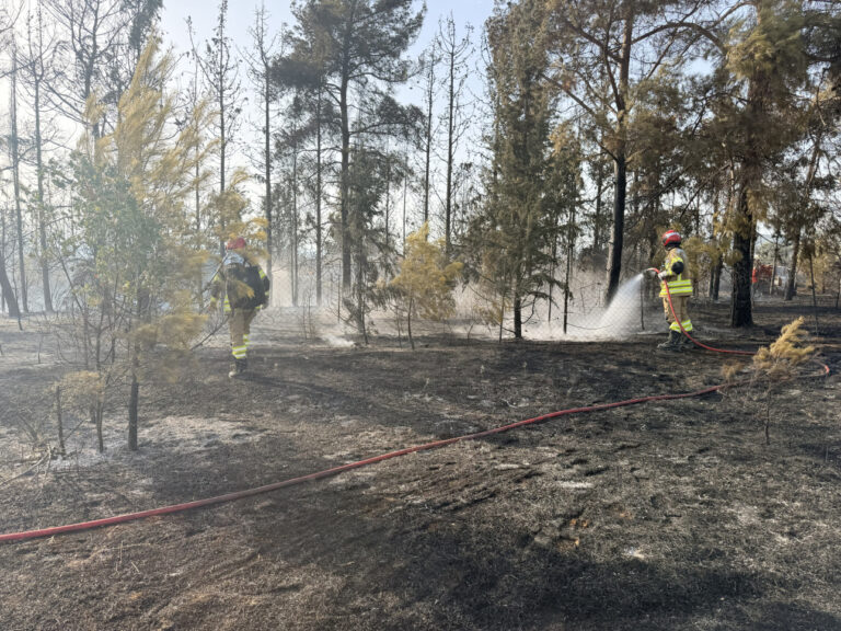 (FOTO) Pompierii din R. Moldova, o nouă intervenție pentru lichidarea incendiilor forestiere din Grecia