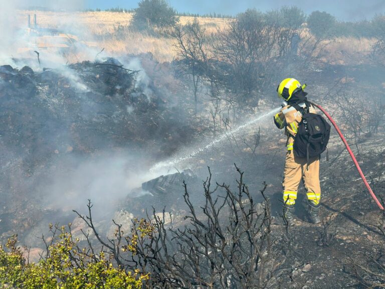 (FOTO) Pompierii din R. Moldova continuă lupta cu incendiile de vegetație din Grecia