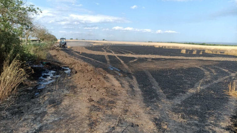 Incendiu în raionul Ștefan Vodă: Un lan de grâu, cuprins de flăcări
