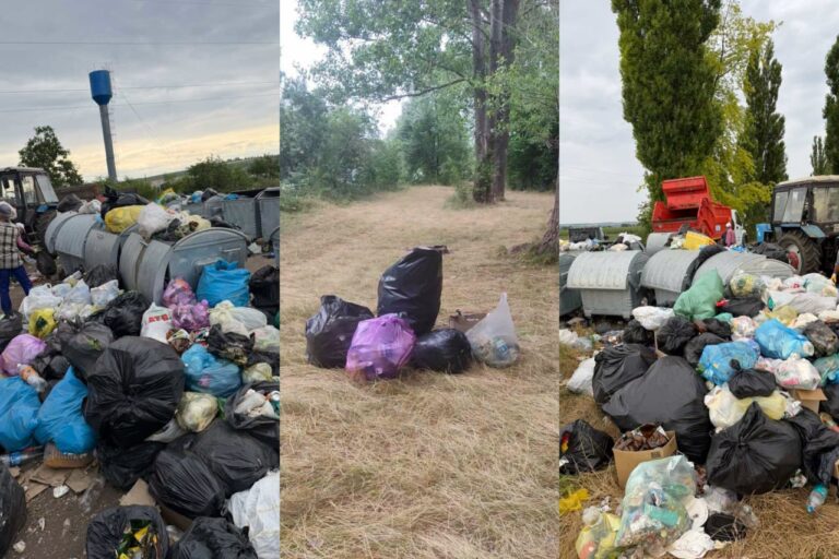 Circa 45 de metri cubi de deșeuri, evacuate de pe malurile lacului Costești-Stânca