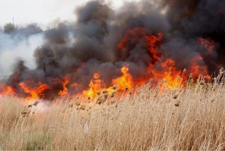 Pericol de incendiu în R. Moldova: Meteorologii au emis un nou cod galben