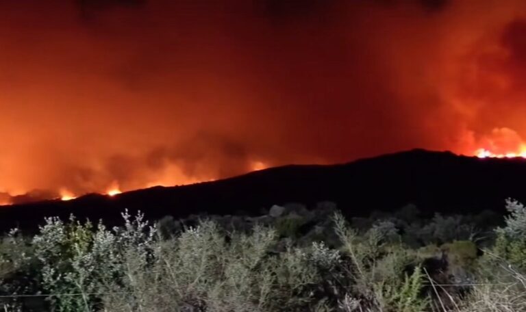 Incendii de vegetație în sudul Franței: UE anunță desfășurarea a patru bombardiere cu apă