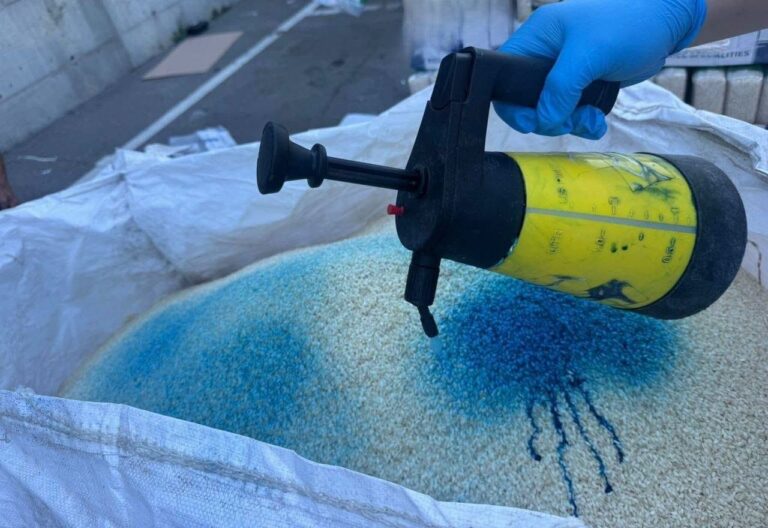 (FOTO) Aproape trei tone de orez, distruse. Ce au descoperit inspectorii ANSA