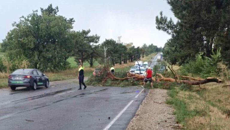 (FOTO) Copaci căzuți pe mai multe drumuri din R. Moldova după ploile puternice