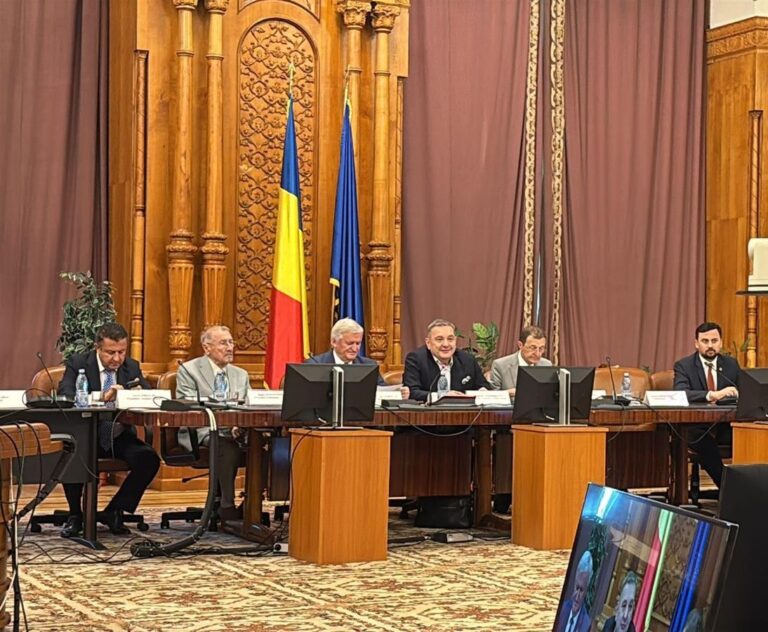 Consiliul Academic Român reafirmă rolul limbii române în păstrarea identității și unității. Declarația de la Chișinău