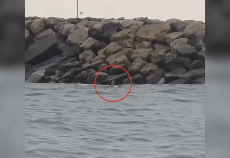 Alertă cu dronă la Costinești. O dronă ar fi fost observată în apropierea stațiunii