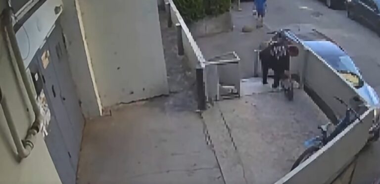 (VIDEO) O femeie riscă până la 4 ani de închisoare după ce ar fi furat o trotinetă electrică de la intrarea într-un bloc din Chișinău