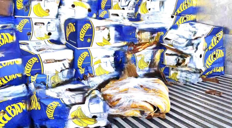 (FOTO) Zeci de tone de produse alimentare de import, distruse: Ce au descoperit inspectorii ANSA